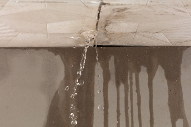 Professional Burst Pipe Cleanup technician working in Dunlap, IL